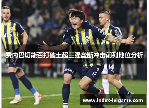 费内巴切能否打破土超三强垄断冲击前列地位分析