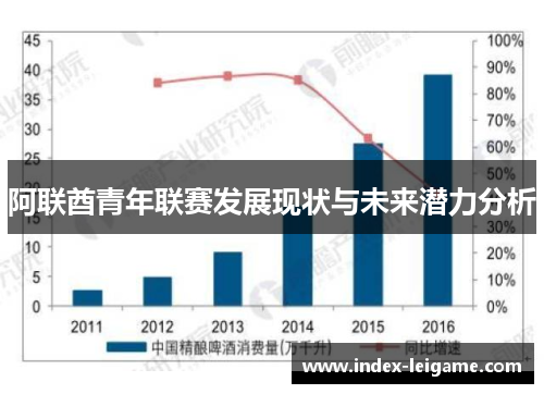 阿联酋青年联赛发展现状与未来潜力分析