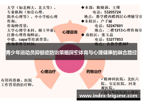 青少年运动员抑郁症防治策略探索体育与心理健康的融合路径 青少年运动员抑郁症防治策略探索体育与心理健康的融合路径