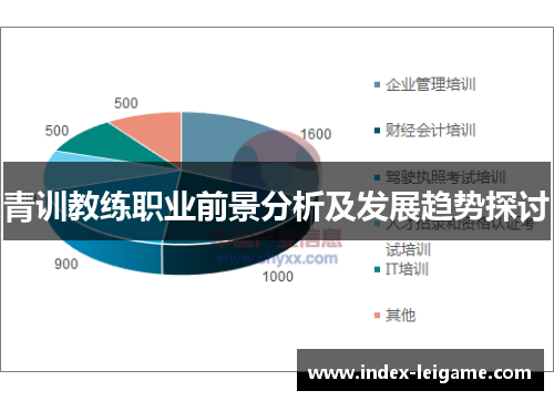 青训教练职业前景分析及发展趋势探讨