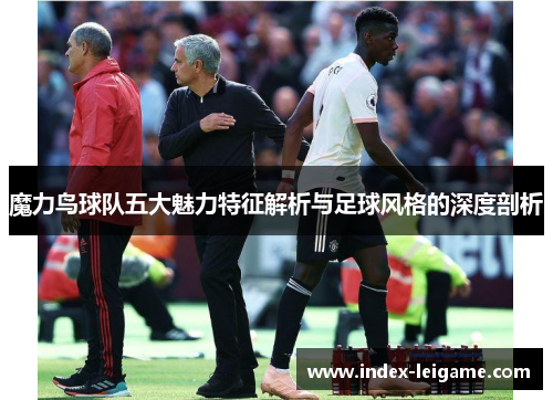 魔力鸟球队五大魅力特征解析与足球风格的深度剖析 魔力鸟球队五大魅力特征解析与足球风格的深度剖析